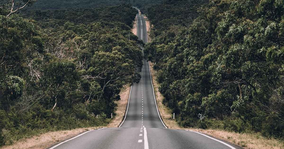 Requisitos para el visado de estudiante en Australia fotografía de una carretera infinita de dos carriles y al lado la vegetación